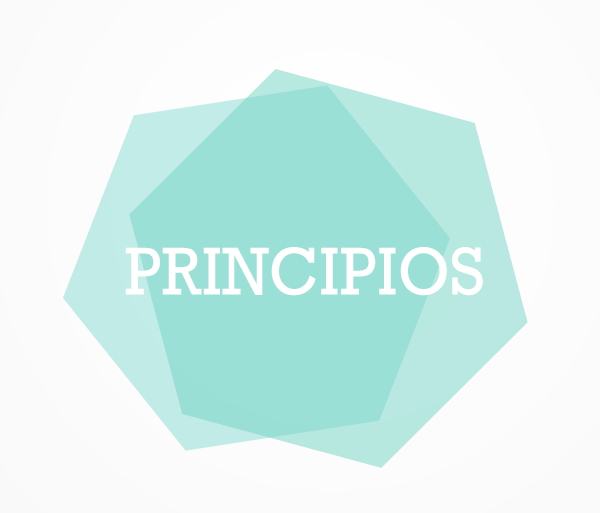 1.5.3 PRINCIPIOS DE LA ADMINISTRACIÓN CIENTÍFICA